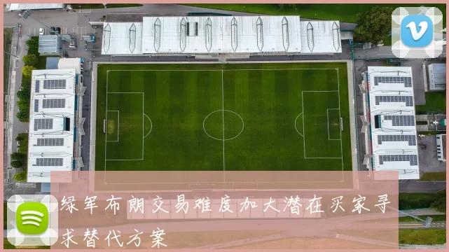 绿军布朗交易难度加大潜在买家寻求替代方案